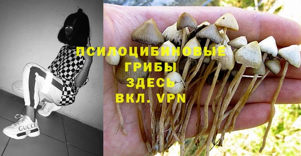 марки lsd Медвежьегорск