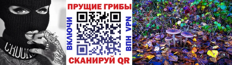 Псилоцибиновые грибы Psilocybine cubensis Купить где Зима